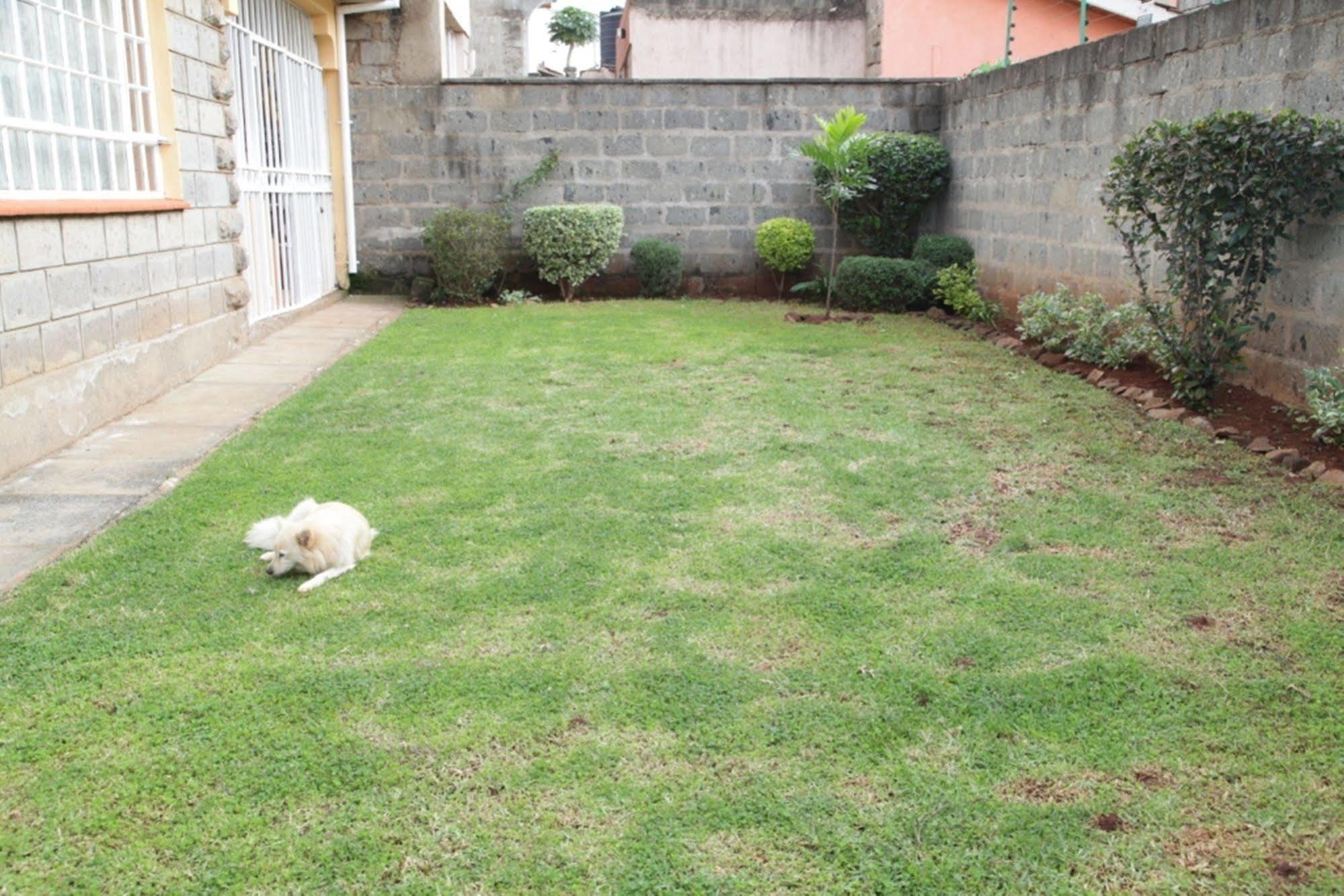 Mdawida Homestay Nairobi Exterior foto
